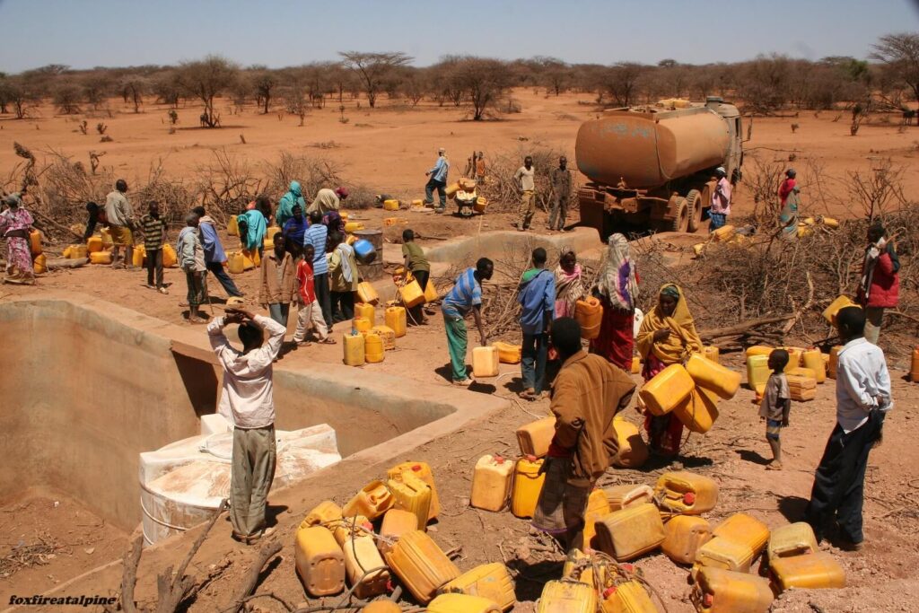 ความแห้งแล้งในแอฟริกาตอนใต้ทำให้ผู้คนนับล้านหิวโหย Zanyiwe Ncube ประณีตและเข้มข้น เทน้ำมันปรุงอาหารสีทองอันมีค่าจำนวนเล็กน้อย